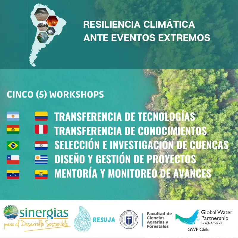 Consolidado de Workshops