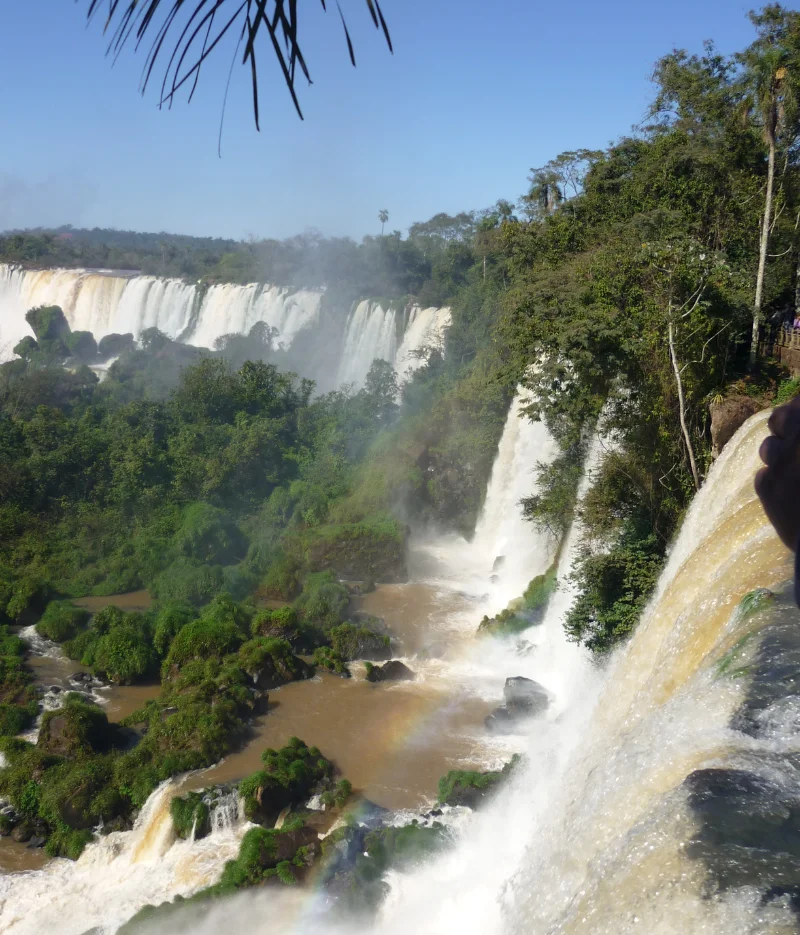 Ecosistemes Sudamericanos