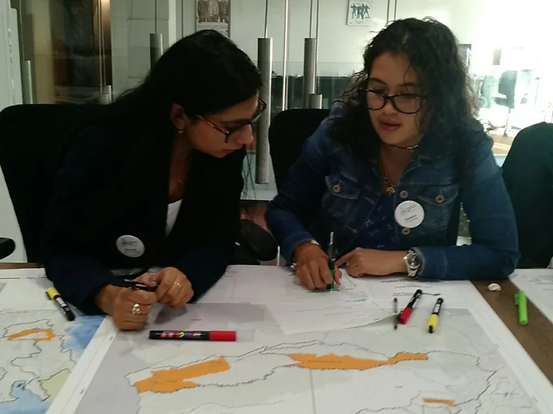 Transferencia de Hallazgos