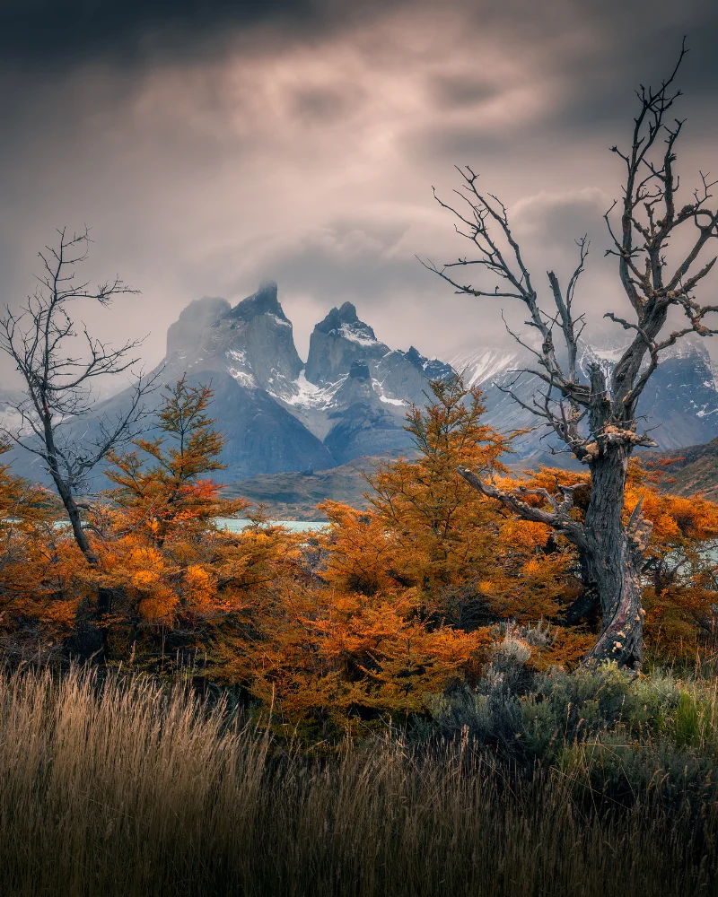 Patagonia